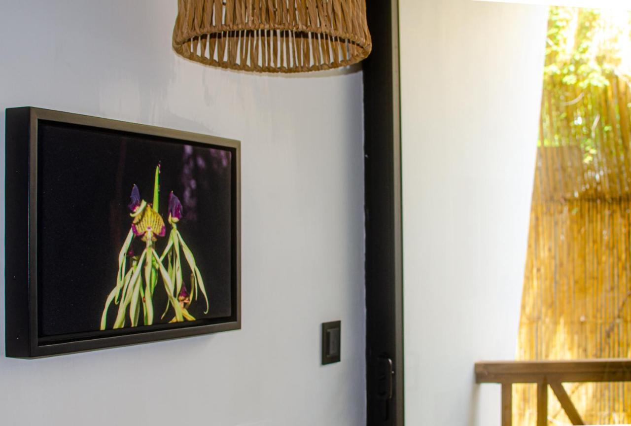 Ximena Hotel Boutique Sayulita Bagian luar foto
